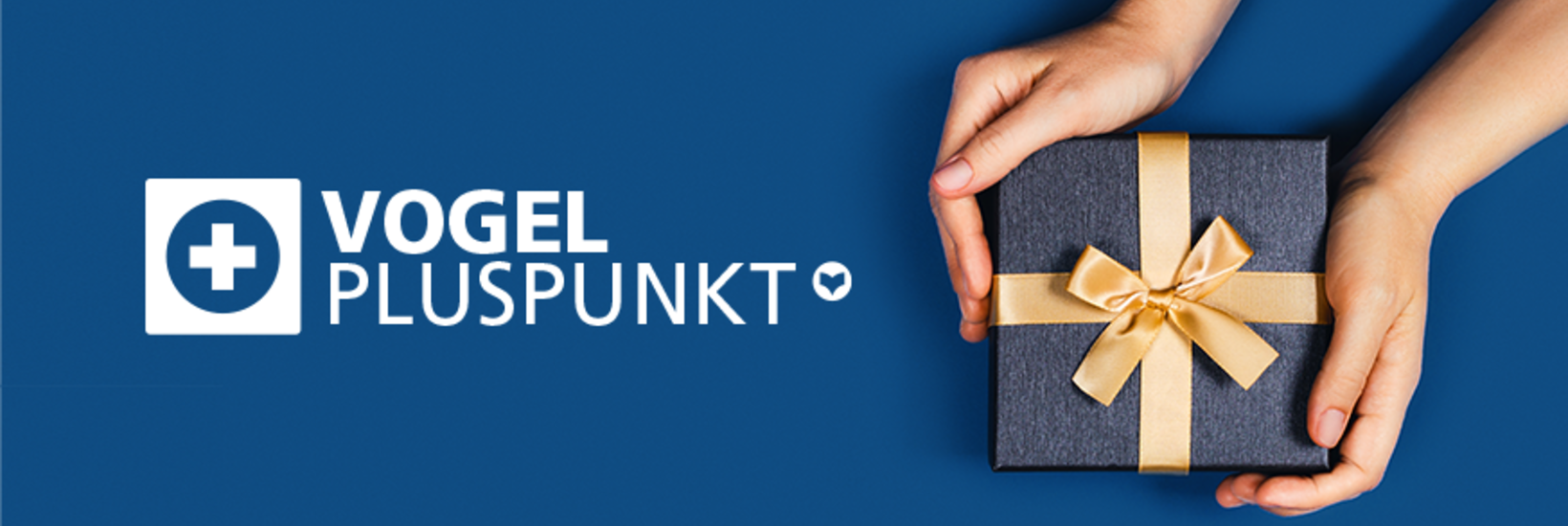 Vogel Pluspunkt Shop Geschenk in den Händen vor blauen Hintergrund