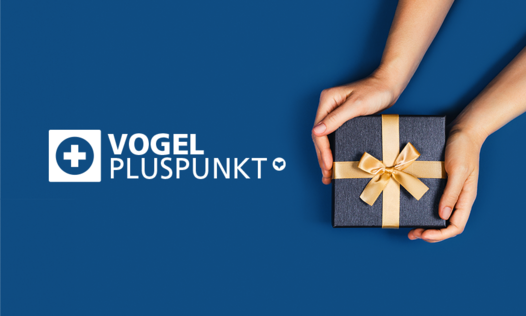 Vogel Pluspunkt Shop Geschenk in den Händen vor blauen Hintergrund