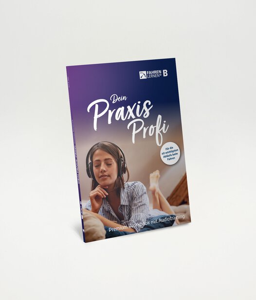 Praxis-Profi: Das Workbook für die wichtigsten Abläufe beim Fahren