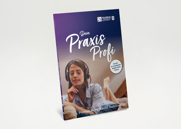 Praxis-Profi: Das Workbook für die wichtigsten Abläufe beim Fahren